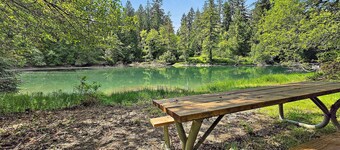 Tired of boring?  Try this fun filled getaway just minutes from the Puget Sound!