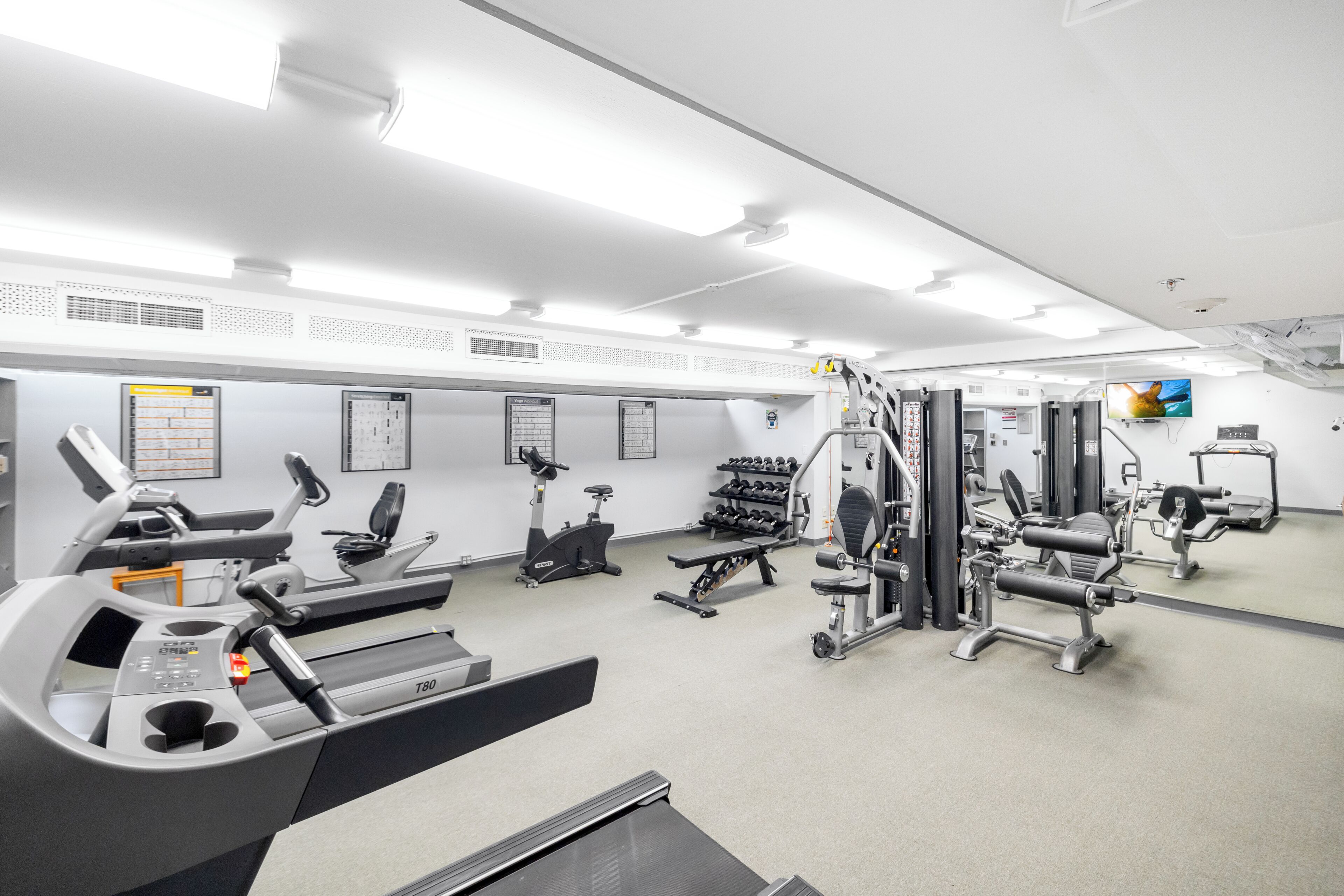 A gym with treadmills, elliptical machines, weight benches, and free weights.
