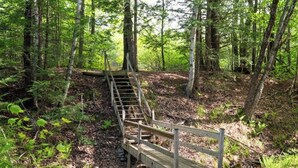 Eine Holzbrücke in bewaldetem Gebiet.