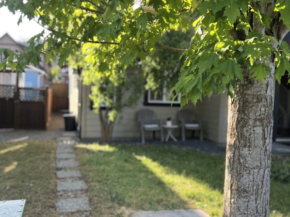 Un camino bordeado de árboles que conduce a una casa con un patio visible.