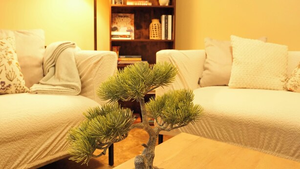 Un salon chaleureux avec deux canapés, une table basse et un bonsaï.