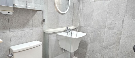 Hair dryer, towels, soap, toilet paper