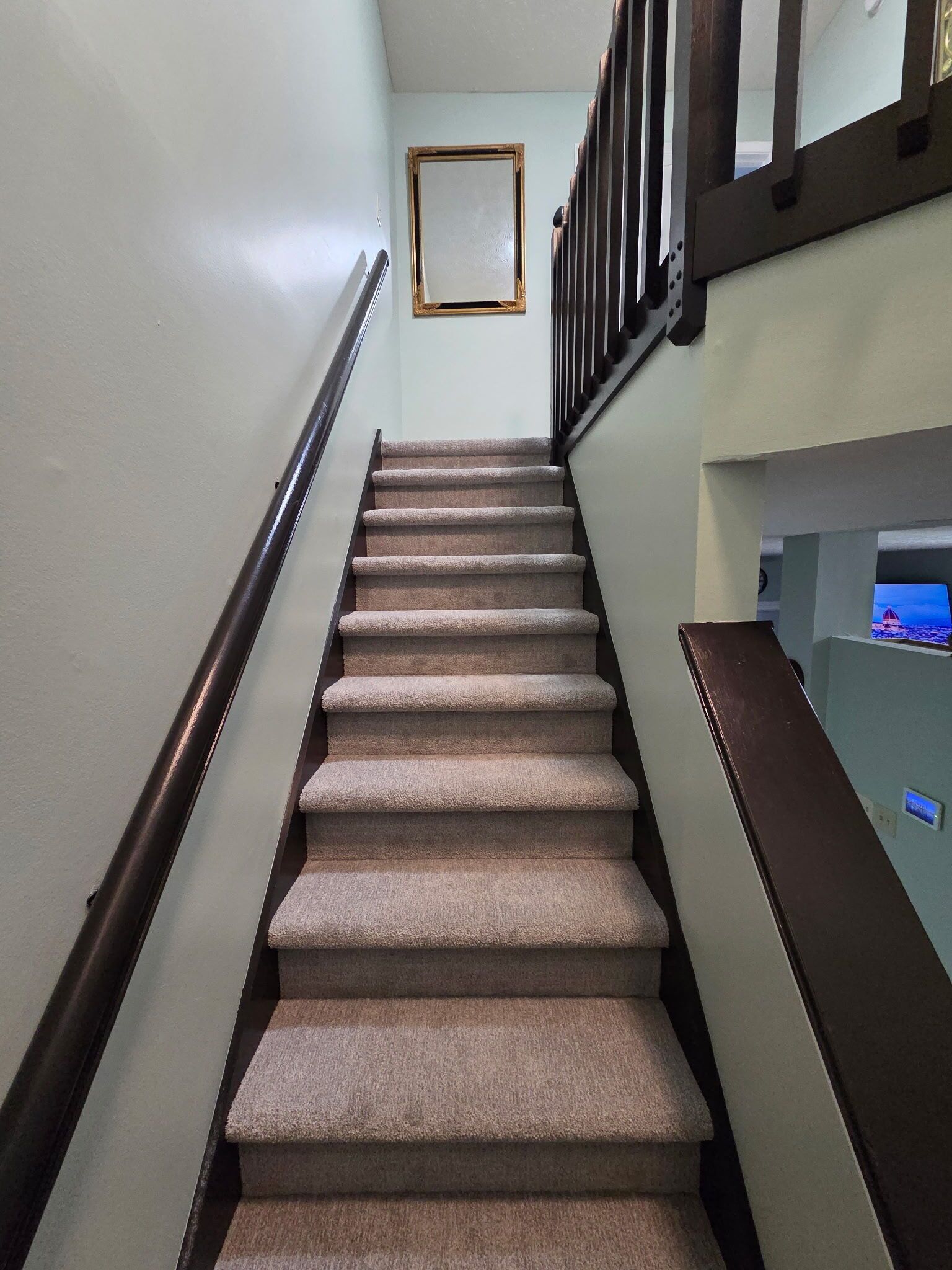 Un escalier recouvert de moquette avec une rampe, un cadre photo accroché au mur et un téléviseur visible au fond.