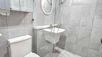 Hair dryer, towels, soap, toilet paper