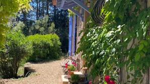 Property grounds - Lovely Provençal holiday home with swimming pool (Lorgues)