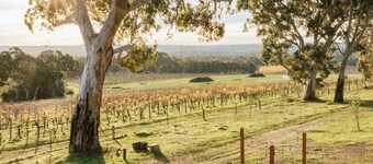 Escape One - Luxury romantic vineyard villa, sunset views & outdoor bath