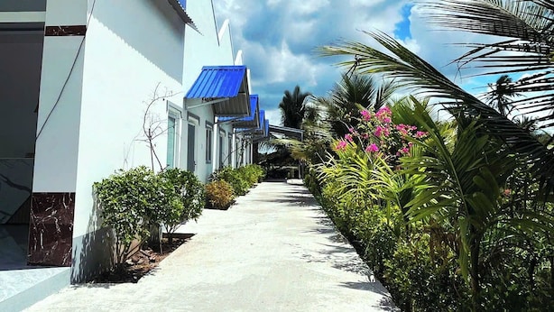 Un camino que lleva a un edificio con techo azul, rodeado de plantas tropicales y un cielo despejado.