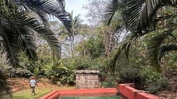 Superior Forest Cottage | Pool | Outdoor pool