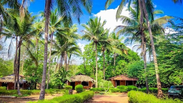 A tropical resort with thatched-roof huts, palm trees, and a dirt path. - Natures Nest Goa (Sanguem)