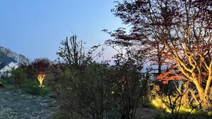 Un jardí amb arbres i arbustos, un camí i un edifici al fons.