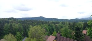 Eine bewaldete Berglandschaft mit Häusern.