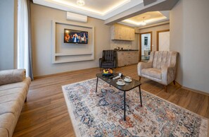 Ein modernes Wohnzimmer mit einer Couch, einem Couchtisch, einem gemusterten Teppich, einem Fernseher, einer Küchenzeile und einer Sitzecke mit einem Sessel.