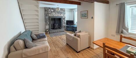 TV, fireplace