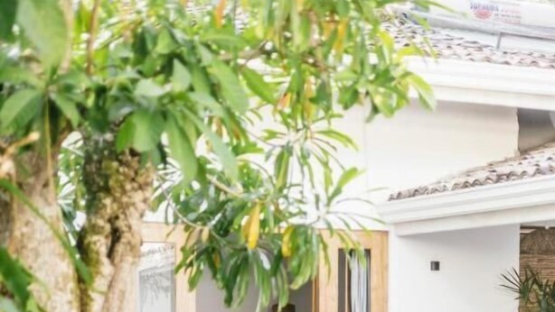 A poolside area with a bed, a lounge chair, and a tree. - Little House by Unrushed (Ahangama)