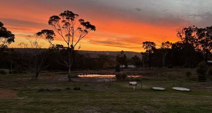 Boots & Tails Retreat | Horse, Dog & Family Stay