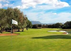 Ein Golfplatz mit Fahne, Bäumen und einem Wassengebiet.