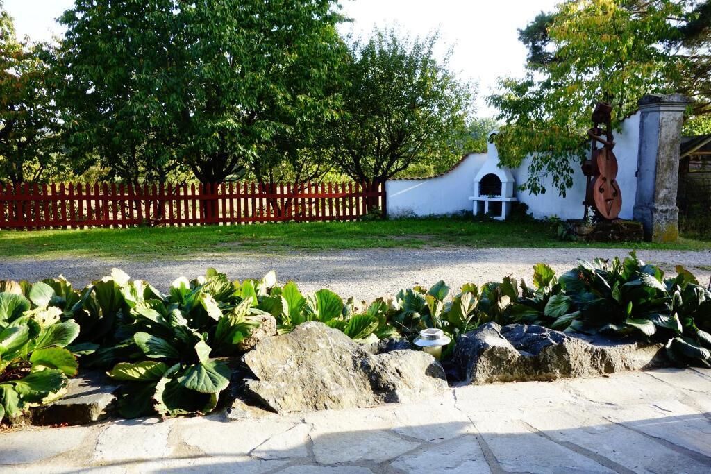 Apartment, Kitchenette, Courtyard View | Property grounds