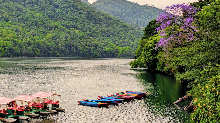 Nomad Pokhara Hotel