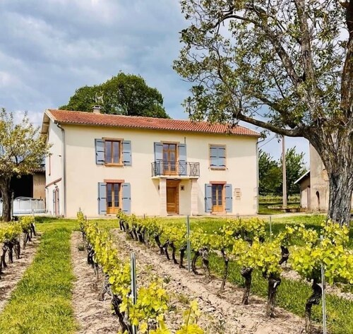 Les Blancs - Maison de maître 4* entourée de vignes
