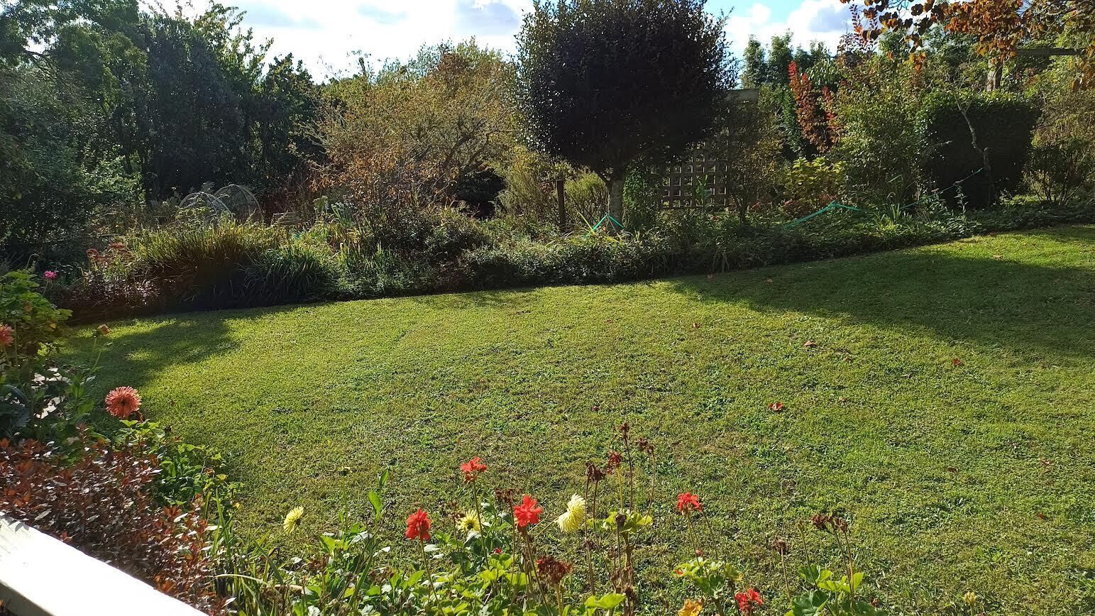 En välskött gräsmatta med ett stort utbud av blommor och buskar.