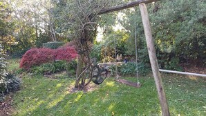 Un jardin avec une balançoire, un arbre et différentes plantes.