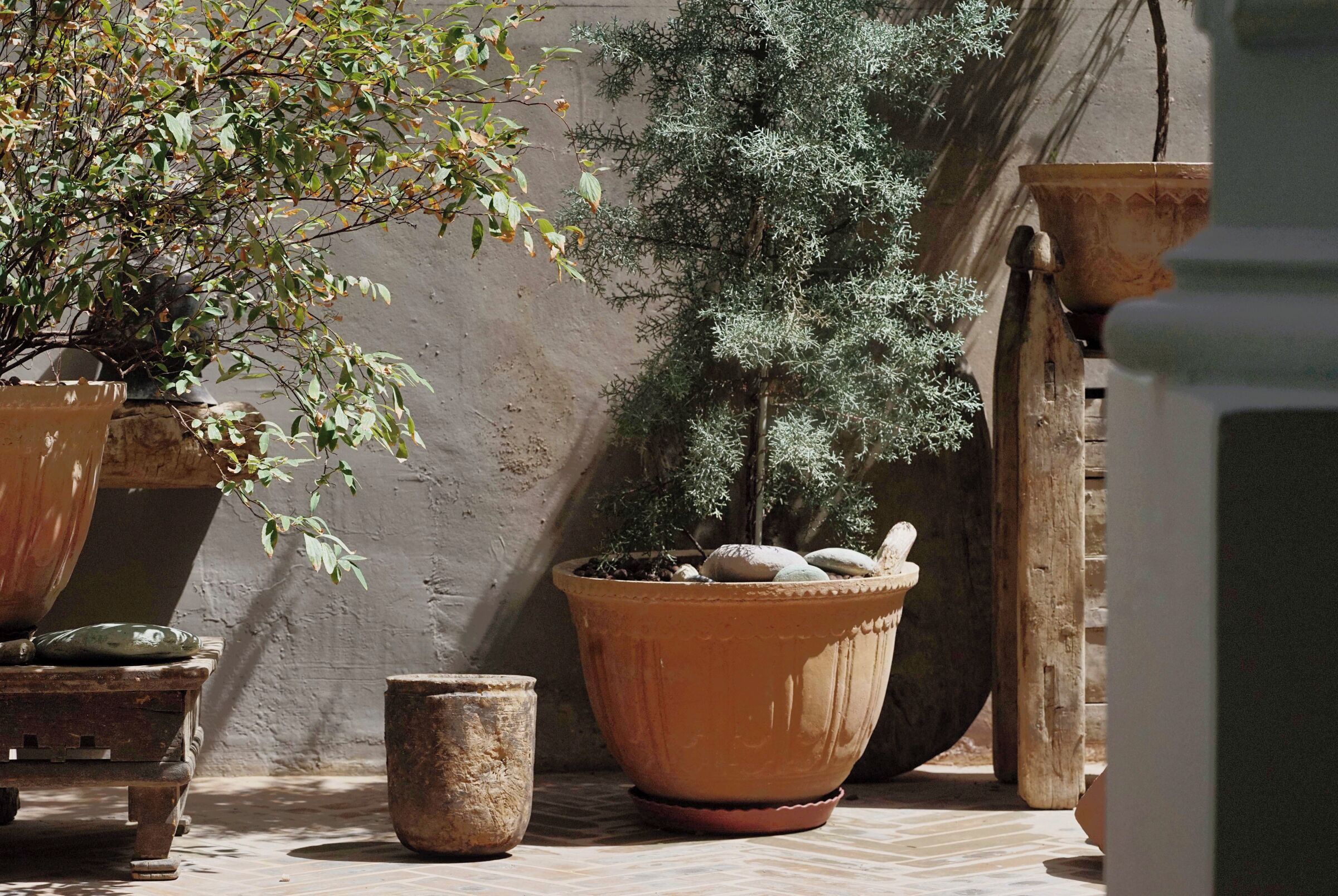 A courtyard with potted plants and a rustic bench.