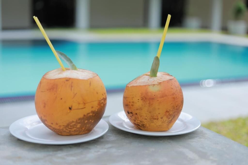 Two coconuts with straws on white plates by a poolside.