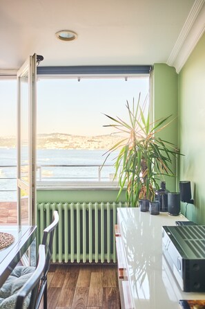 Ein Zimmer mit Meerblick, einem Heizkörper, einer Pflanze und einem Tisch mit Lautsprechern.