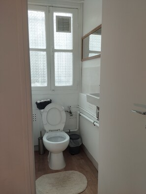 Chuveiro, secador de cabelo, toalhas de banho, sabonete