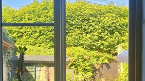Blick durch eine Glastür auf eine Terrasse mit Kaktus, Stühlen und einem Garten.
