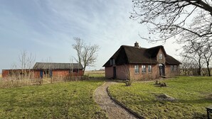 A rural house with a thatched roof, a gravel path leading to it, and a fenced area with trees. - Dream thatched house in a secluded location directly off Sylt. (Emmelsbüll-Horsbüll)