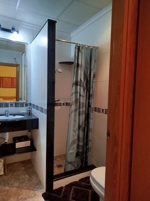 Ducha, secador de pelo, bidé y toallas