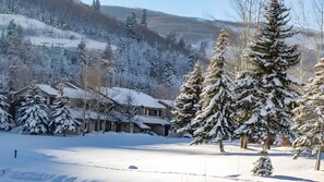 Eine verschneite Landschaft mit einem von Bäumen umgebenen Gebäude.