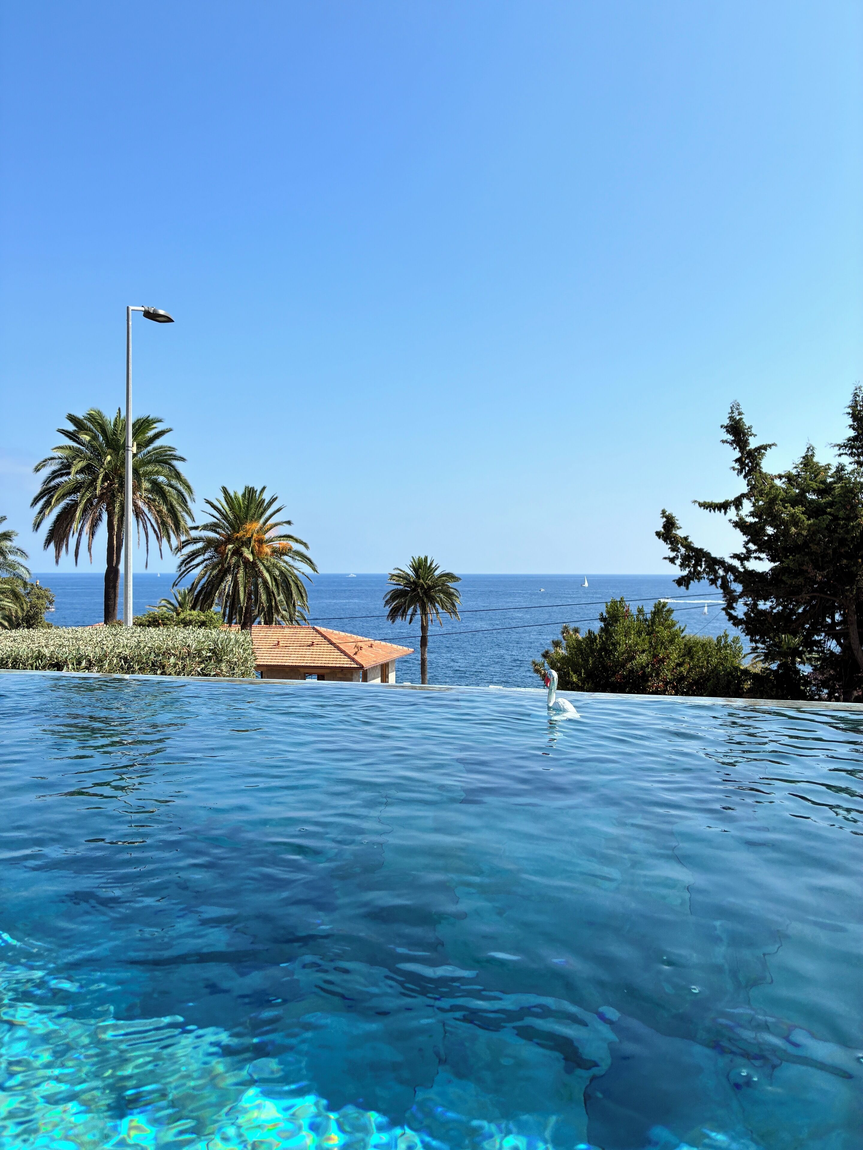 An infinity pool with a clear view of the ocean and palm trees.