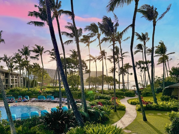 A resort with a swimming pool, lounge chairs, palm trees, and a pathway.