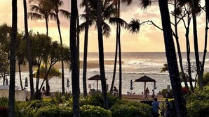 Un sentiero che conduce a ombrelloni sulla spiaggia, palme e vista sull'oceano.