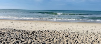 Peaceful open concept private retreat near beach and walk to everything