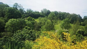 A landscape with dense greenery and yellow flowering plants. - Normandy cocoon valley view terrace-7 min Honfleur (Fourneville)