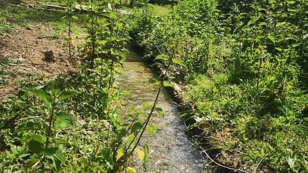 A narrow stream with clear water, surrounded by lush greenery and a wooden fence. - Normandy cocoon valley view terrace-7 min Honfleur (Fourneville)