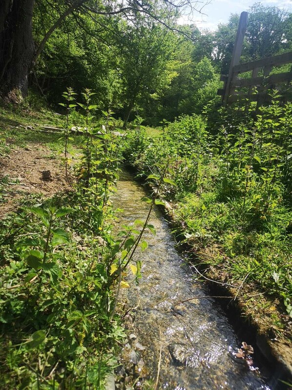 Un arroyo estrecho de aguas cristalinas, rodeado de abundante vegetación y una valla de madera.