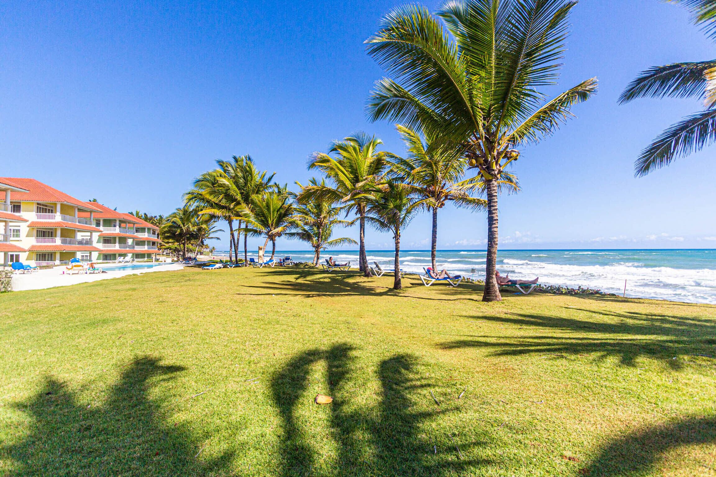 Un hotel frente a la playa con piscina, palmeras y vistas al océano.