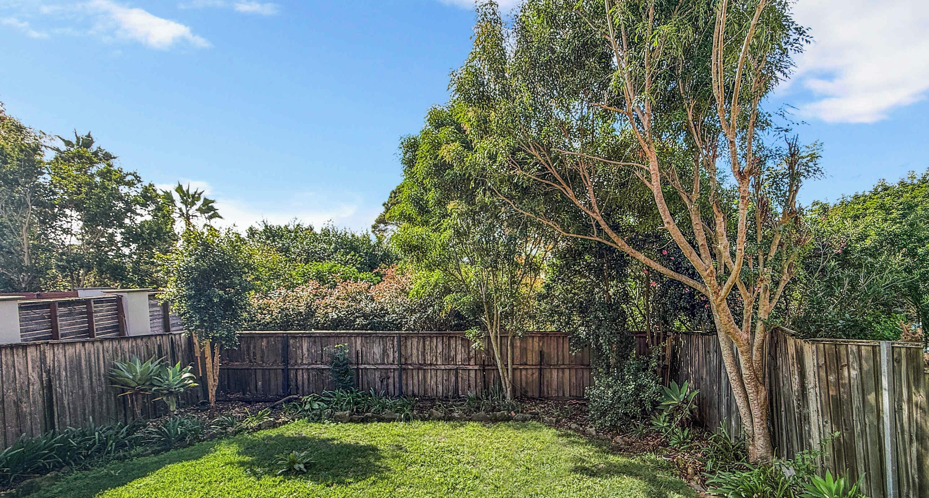 A backyard with a wooden fence, a tree, and a grassy area.