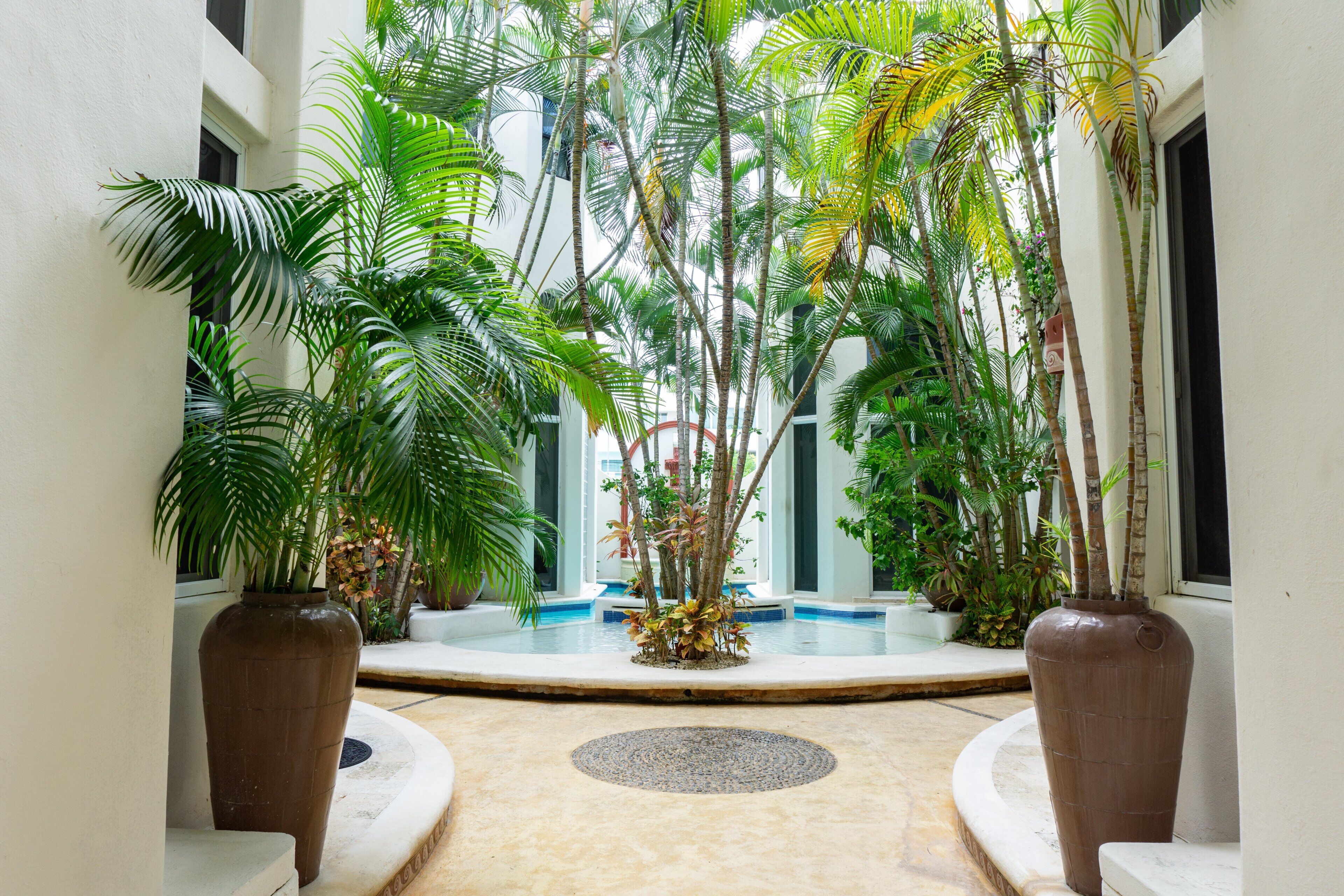 Une cour avec une piscine, entourée de plantes en pot et de palmiers.