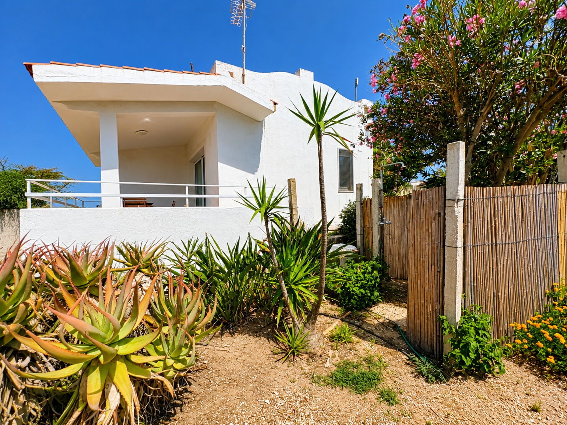A modern two-story house with a balcony, surrounded by various plants and a wooden fence.