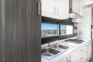 Eine moderne Küche mit einem Gasherd, zwei Spülen und einem Fenster mit Blick auf eine Landschaft.