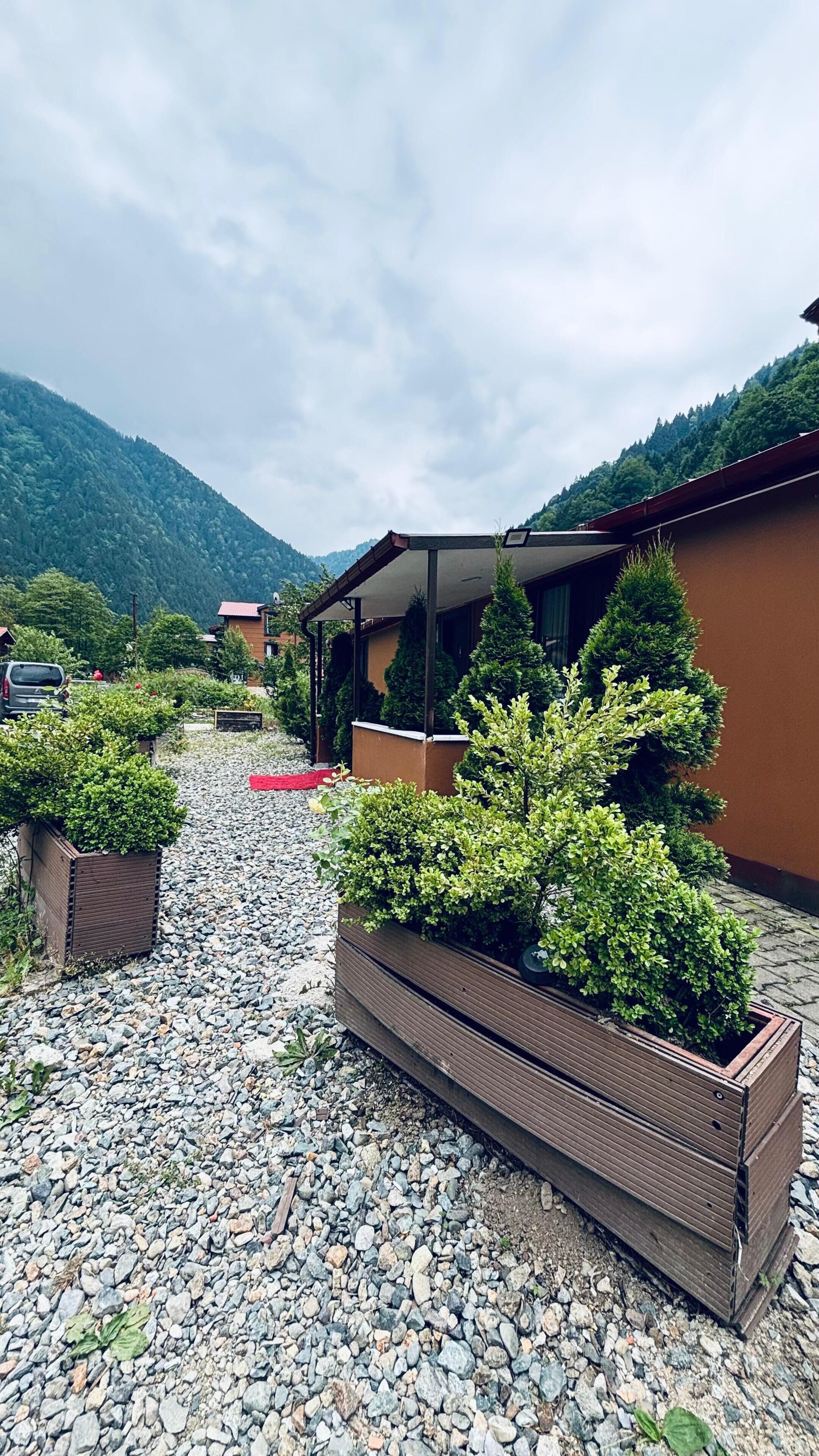 Comfort Bungalow | Terrace/patio