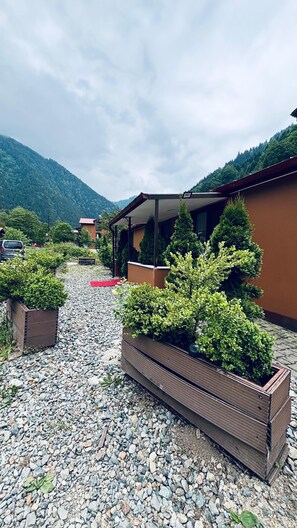 Comfort-Bungalow | Terrasse/Patio