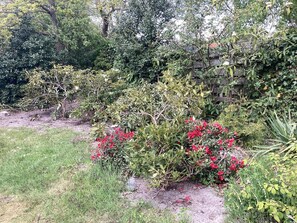 A garden with various shrubs and a wooden fence. - 6 Person Holiday Home in Vaeggerlose (Vaeggerlose)