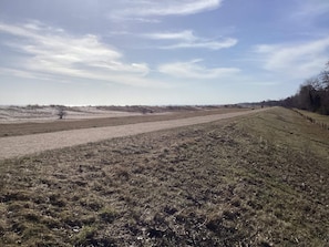Paisaje rural con un sendero de tierra, vegetación escasa y cielo despejado.