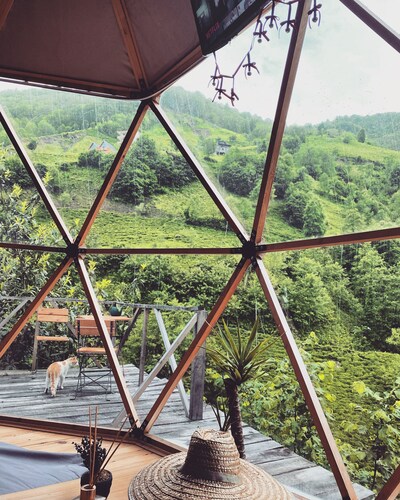 Valley Domes